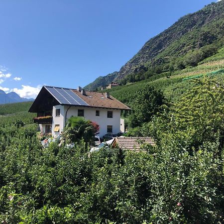 Pixnerhof - Urlaub Am Biohof Apartment Castelbello Exterior foto