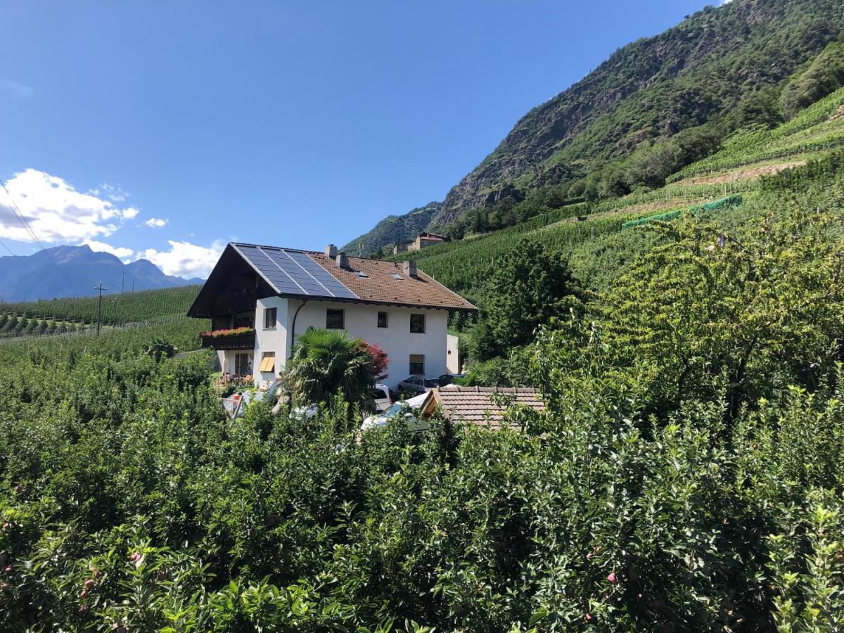 Pixnerhof - Urlaub Am Biohof Apartment Castelbello Exterior foto