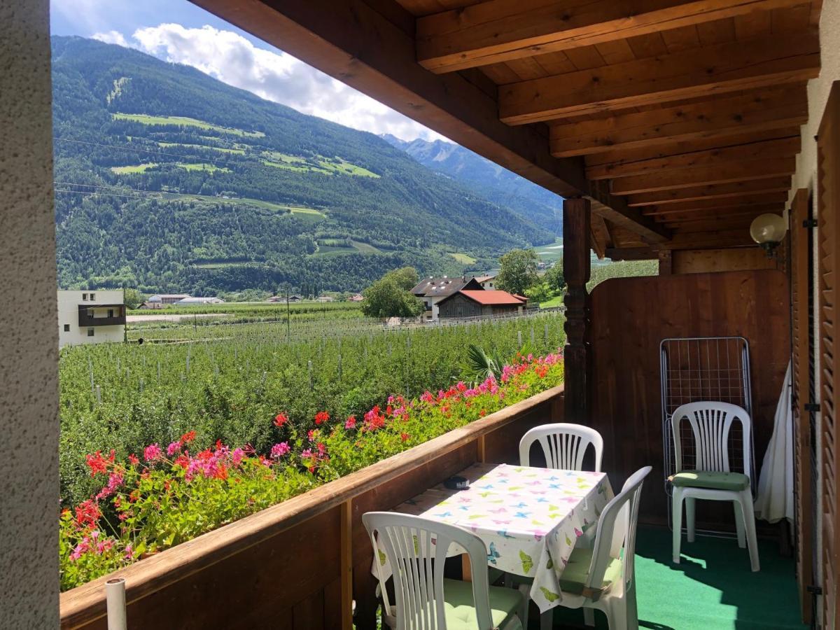 Pixnerhof - Urlaub Am Biohof Apartment Castelbello Exterior foto